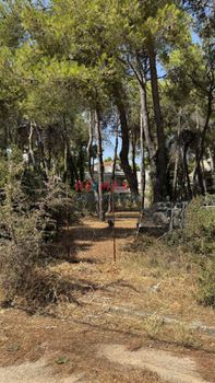Land plot 1.123 sqm for sale