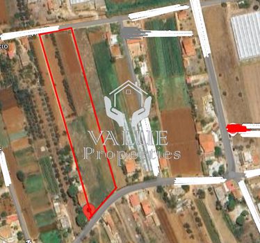 Parcel 50.000sqm for sale-Marathonas