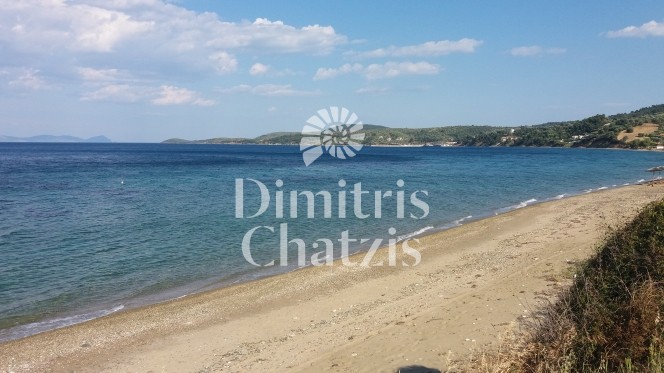 Αγροτεμάχια 4.050 τ.μ. πρός πώληση, Χαλκιδική, Παλλήνη