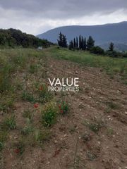 Οικόπεδο 7.700 τ.μ. για ενοικίαση, Βοιωτία, Αλίαρτος-thumb-3