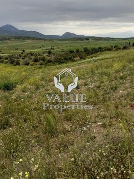Land plot 7.700sqm for rent-Aliartos