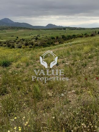 Οικόπεδο 7.700 τ.μ. για ενοικίαση, Βοιωτία, Αλίαρτος