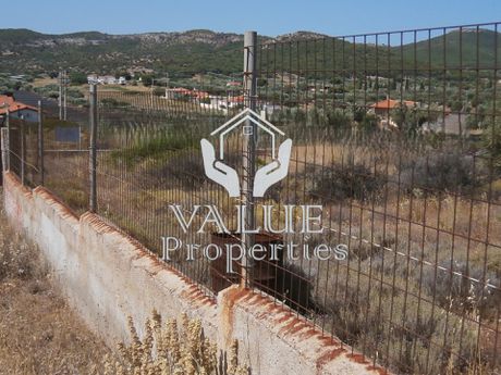 Land plot 550sqm for rent-Lavrio
