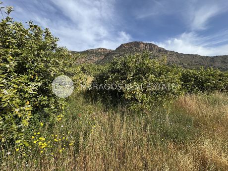 Αγροτεμάχια 17.000τ.μ. για πώληση-Λύρκεια » Χούνη