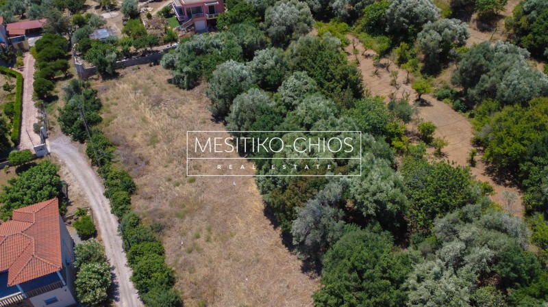 Οικόπεδο 3.553 τ.μ. προς πώληση, Καμποχώρια