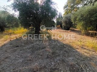 Αγροτεμάχια 1.105 τ.μ. για πώληση, Εύβοια, Λιχάδα-thumb-5