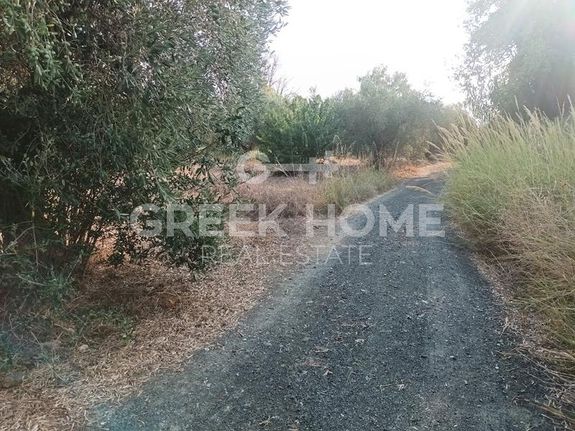 Αγροτεμάχια 1.105 τ.μ. για πώληση, Εύβοια, Λιχάδα