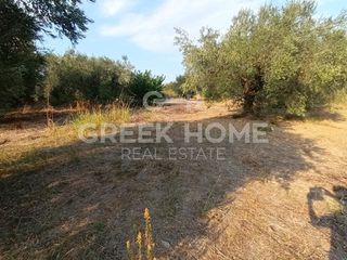 Αγροτεμάχια 1.105 τ.μ. για πώληση, Εύβοια, Λιχάδα-thumb-4