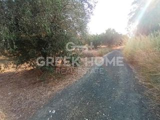 Αγροτεμάχια 1.105 τ.μ. για πώληση, Εύβοια, Λιχάδα-thumb-2