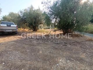 Αγροτεμάχια 1.105 τ.μ. για πώληση, Εύβοια, Λιχάδα-thumb-3