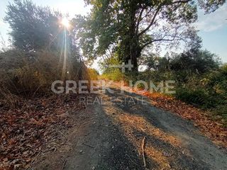 Αγροτεμάχια 1.105 τ.μ. για πώληση, Εύβοια, Λιχάδα-thumb-6