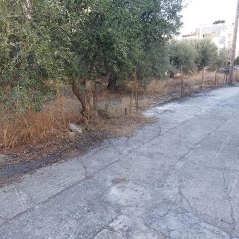 Οικόπεδο 443τ.μ. για πώληση-Ηράκλειο κρήτης » Μεσαμπελιές