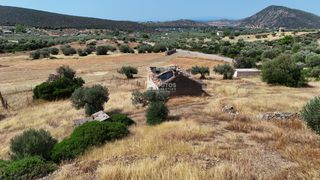 Οικόπεδο 10.033 τ.μ. για πώληση, Αργολίδα, Ερμιόνη-thumb-14