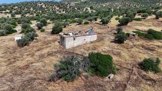 Οικόπεδο 10.033 τ.μ. για πώληση, Αργολίδα, Ερμιόνη-thumb-11