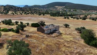 Οικόπεδο 10.033 τ.μ. για πώληση, Αργολίδα, Ερμιόνη-thumb-13