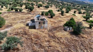 Οικόπεδο 10.033 τ.μ. για πώληση, Αργολίδα, Ερμιόνη-thumb-10