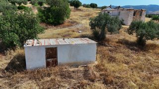 Οικόπεδο 10.033 τ.μ. για πώληση, Αργολίδα, Ερμιόνη-thumb-16