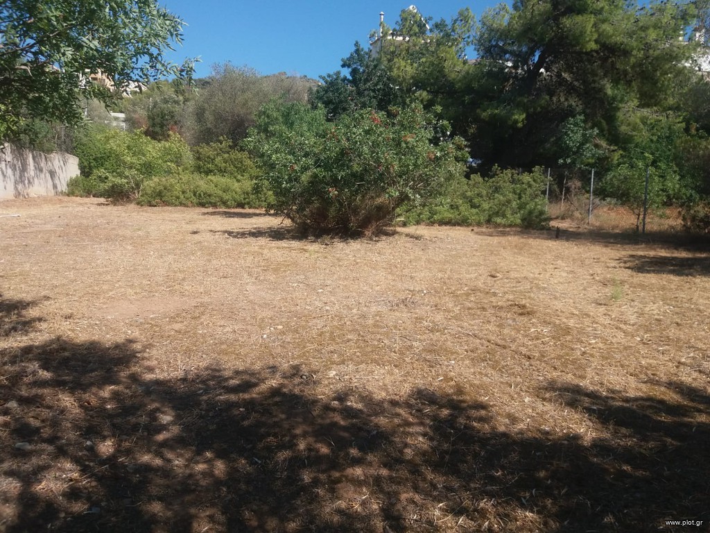 Οικόπεδο 600 τ.μ. πρός πώληση, Αττική - Υπόλοιπο, Σαρωνίδα