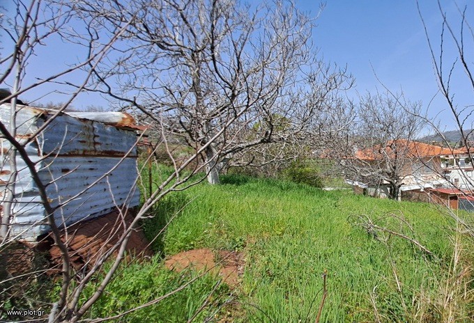 Οικόπεδο 443 τ.μ. πρός πώληση, Εύβοια, Νηλέα