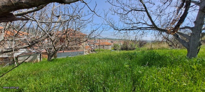 Οικόπεδο 443 τ.μ. πρός πώληση, Εύβοια, Νηλέα