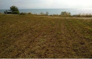 Οικόπεδο 1.700 τ.μ. για πώληση, Φθιώτιδας, Δαφνούσες-thumb-1