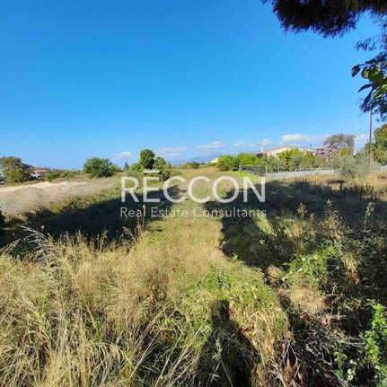 Land plot 3.536 sqm for sale, Evia, Artemisio