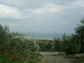 Βίλλα 140 τ.μ. για πώληση, Εύβοια, Νηλέα-thumb-20