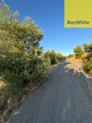 Αγροτεμάχια 13.597 τ.μ. για πώληση, Κορινθία, Βέλο