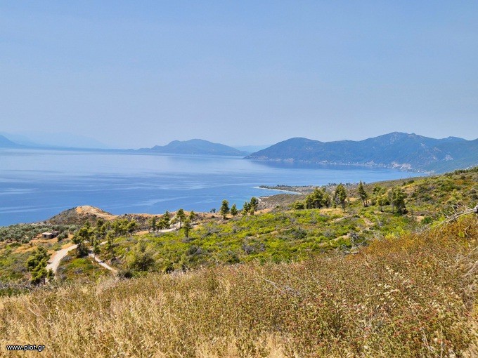 Αγροτεμάχια 14.500 τ.μ. προς πώληση, Χρόνια