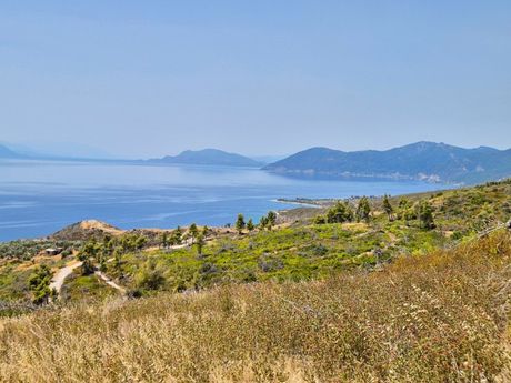 Αγροτεμάχια 14.500τ.μ. για πώληση-Λίμνη » Χρόνια
