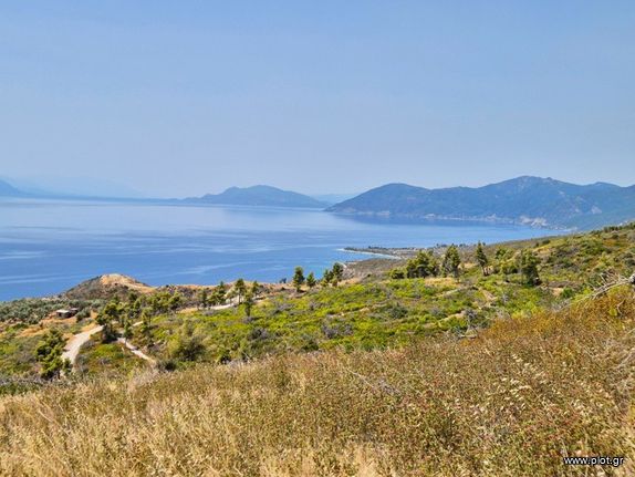 Αγροτεμάχια 14.500 τ.μ. για πώληση, Εύβοια, Λίμνη