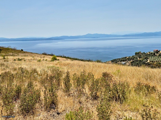 Αγροτεμάχια 14.500 τ.μ. προς πώληση, Χρόνια