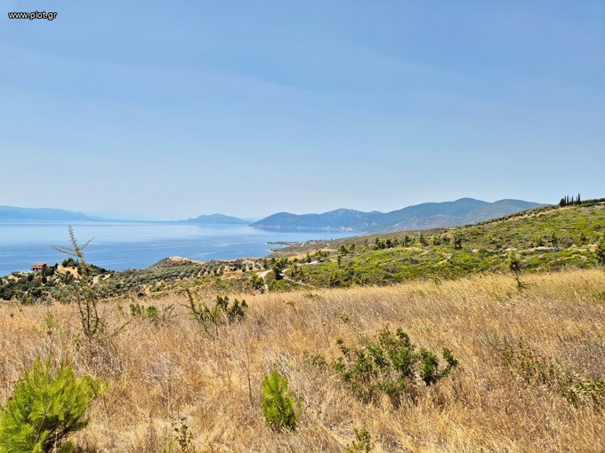 Αγροτεμάχια 14.500 τ.μ. προς πώληση, Χρόνια