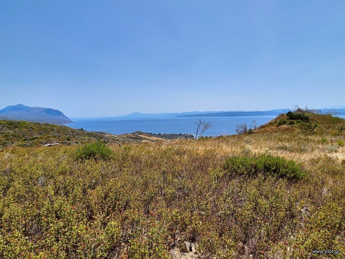 Αγροτεμάχια 14.500 τ.μ. προς πώληση, Χρόνια