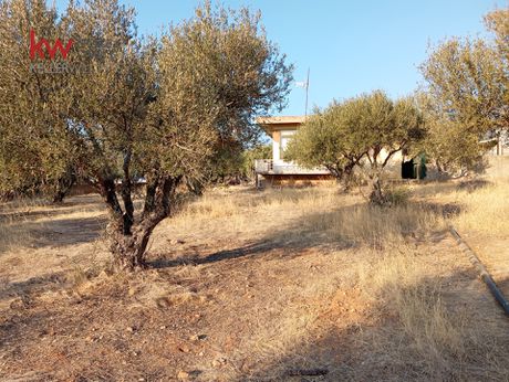 Οικόπεδο 1.576τ.μ. για πώληση-Γούβες