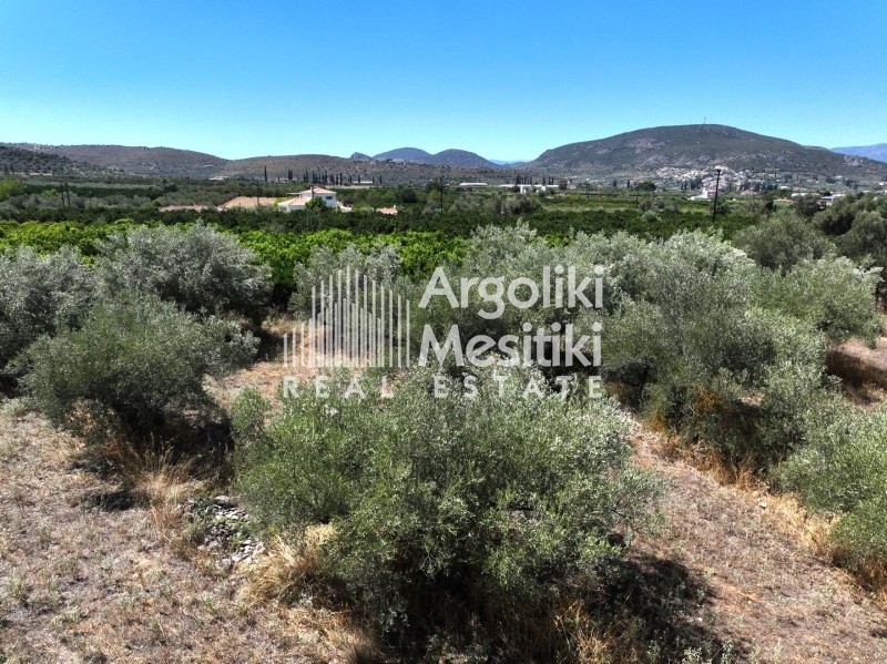 Αγροτεμάχια 3.532 τ.μ. προς πώληση, Άγιος Αδριανός