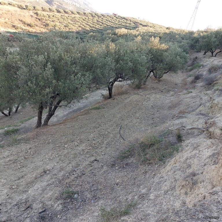 Οικόπεδο 10.000 τ.μ. πρός πώληση, Ν. Ηρακλείου, Ηράκλειο Κρήτης