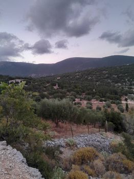 Αγροτεμάχια 868 τ.μ. για πώληση