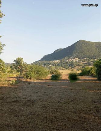 Οικόπεδο 6.290 τ.μ. για πώληση, Ν. Κέρκυρας, Κέρκυρα