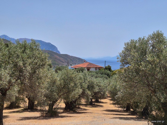 Αγροτεμάχια 5.150 τ.μ. προς πώληση, Κέντρο Λίμνης