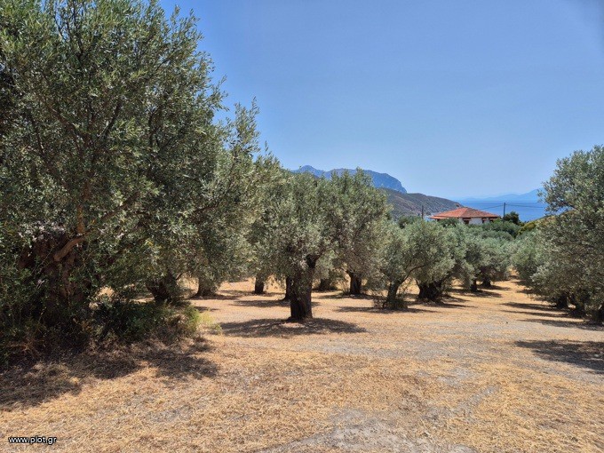 Αγροτεμάχια 5.150 τ.μ. προς πώληση, Κέντρο Λίμνης