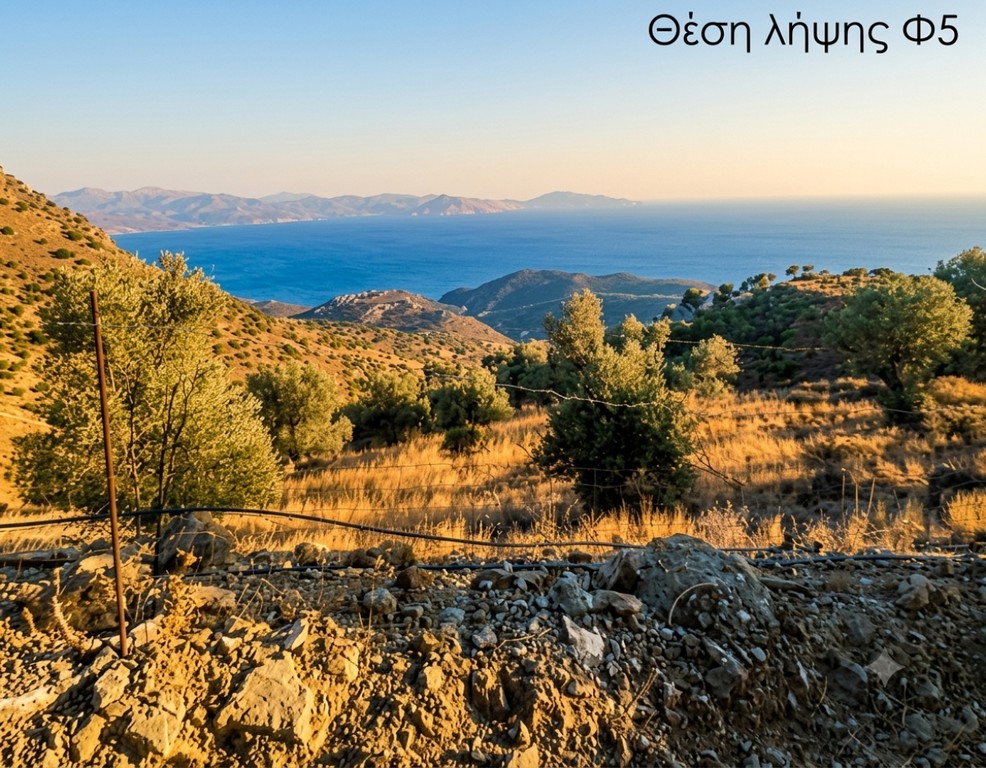 Οικόπεδο 7.150 τ.μ. προς πώληση, Μέλαμπες