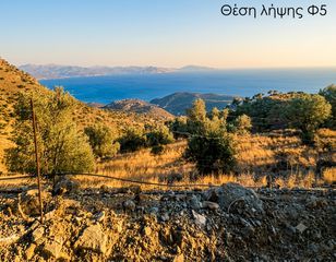 Οικόπεδο 7.150 τ.μ. προς πώληση, Μέλαμπες-thumb-2