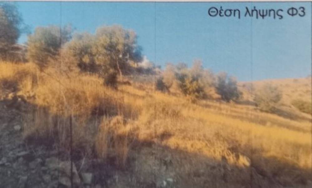 Οικόπεδο 7.150 τ.μ. προς πώληση, Μέλαμπες