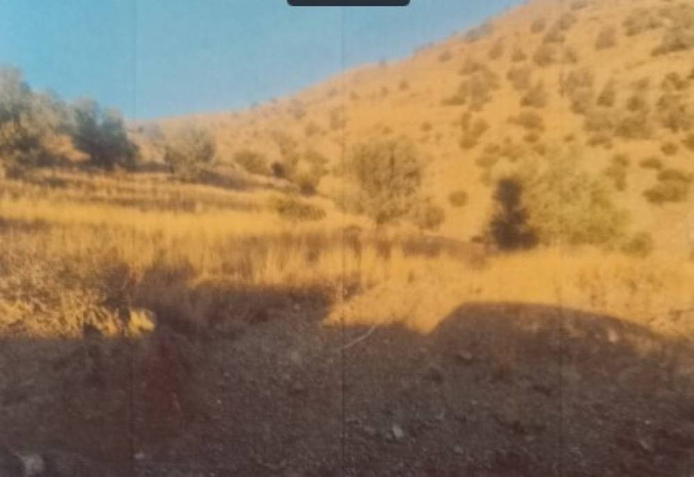 Οικόπεδο 7.150 τ.μ. προς πώληση, Μέλαμπες