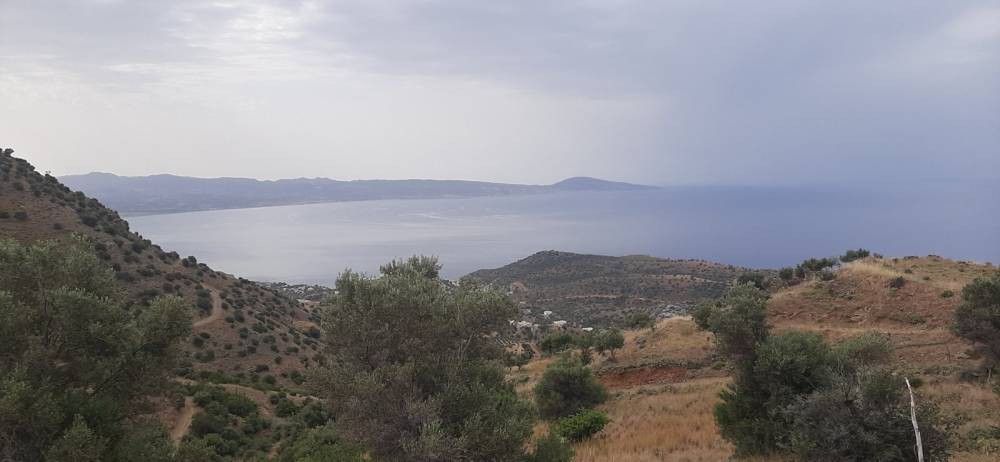 Οικόπεδο 7.150 τ.μ. προς πώληση, Μέλαμπες
