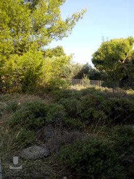 Οικόπεδο 1.577 τ.μ. για πώληση