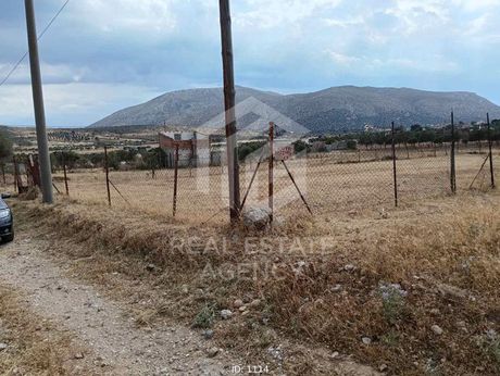 Αγροτεμάχια 902τ.μ. για πώληση-Κερατέα » Αρί