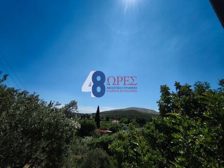 Οικόπεδο 2.775τ.μ. για πώληση-Χίος » Καρδάμυλα