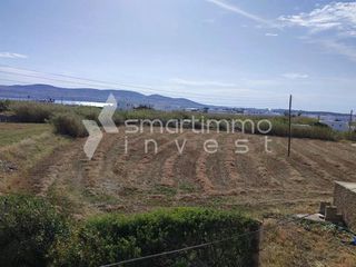 Οικόπεδο 2.000 τ.μ. για πώληση, Κυκλάδες, Πάρος-thumb-3